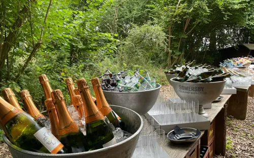 Drikkelse Opsat I Skoven