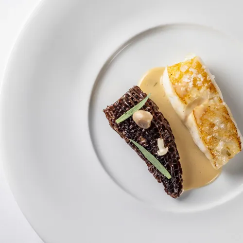 Gourmet Fiskeret Med Svampe Og Souce
