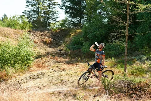 Mountainbike I Skoven