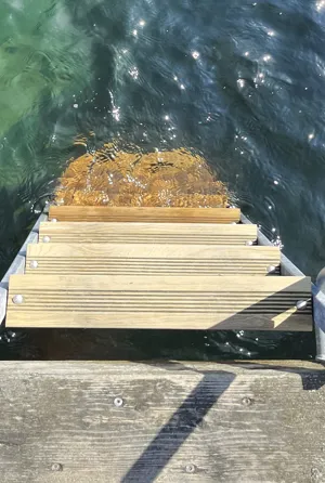 Hotelfaaborgfjord 0024 2025 08 15 12.38.51