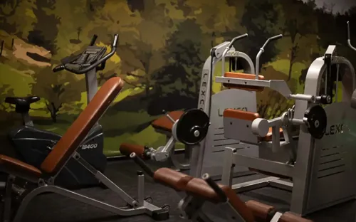 Maskiner I Fitness