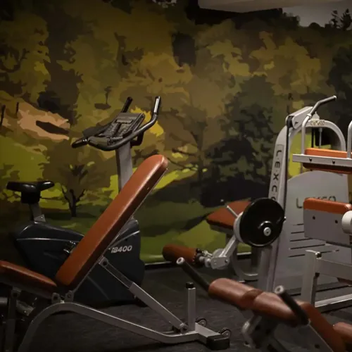Maskiner I Fitness