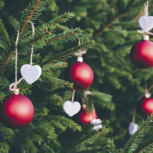 Juletrae