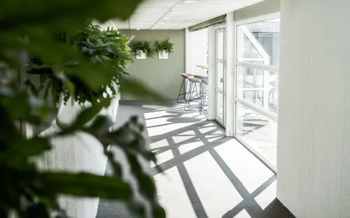 Hotelgang Med Planter