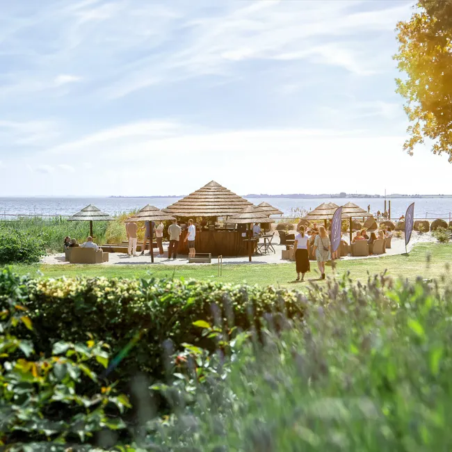 Strandbar 2.webp