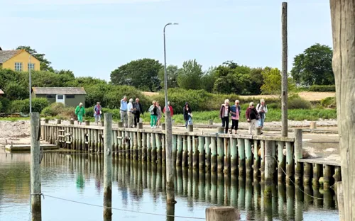 Gæster Går Ved Havnen